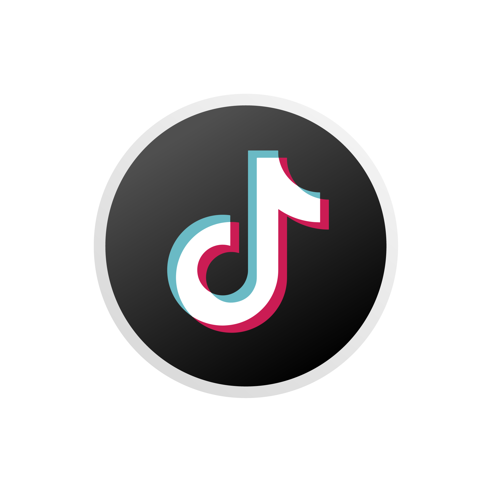 Tiktok 10-50 Followers (Organik) Ada video + Email