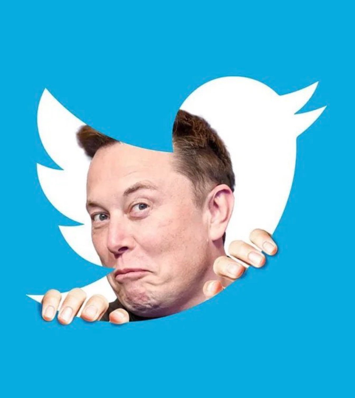 Old twitter ( X)  with 100+ Followers | Accounts 2011 - 2017